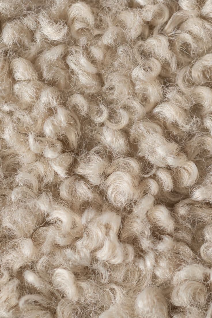 Close-up of raw wool fibers